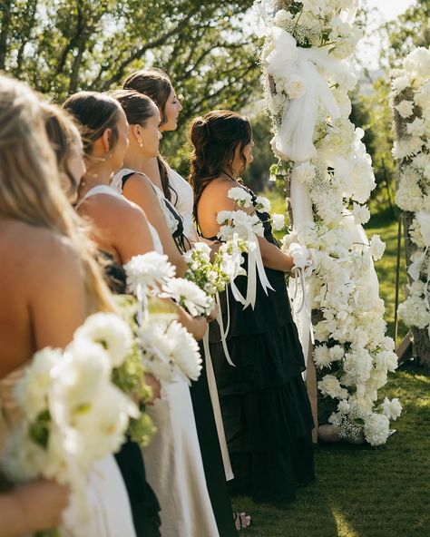 ⁣ Absolutely loving the one flower variety for each bridesmaid trend, hopefully it’s here to stay! ✨ #bridesmaids #bridesmaid #bouquet #bridesmaidbouquet #wedding #weddinginspiration #weddingflowers #weddingflorist #coloradowedding #coloradoweddingflorist #bridalstyle Flower Variety, Bouquet Bridesmaid, One Flower, Colorado Wedding, Bridesmaid Bouquet, Wedding Florist, Bridal Style, Wedding Flowers, Wedding Inspiration