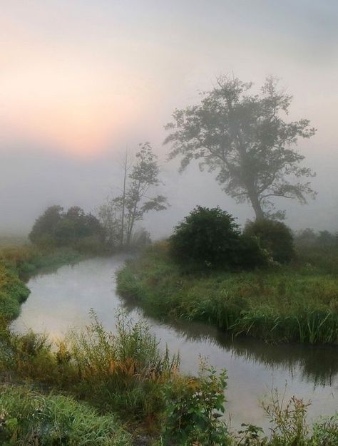 Misty Weather, Street Photography People, Rainy Morning, Pastel Landscape, Night Scenery, Foggy Morning, Spring Aesthetic, Autumn Aesthetic, Painting Photos