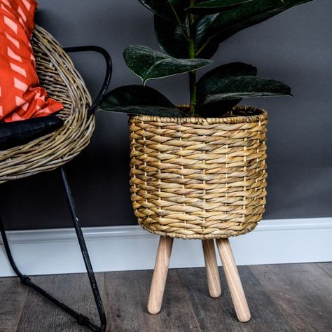 Buy Water hyacinth lined basket on legs: Delivery by Waitrose Garden Hanging Glass Planters, Boho Basket, Crochet Storage Baskets, Contemporary Planters, Indoor Flower Pots, Milking Stool, Plant Ideas, Glass Planter, Plant Basket