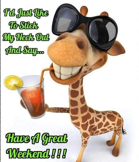 Have A Great Weekend Images, Have A Great Weekend Funny, Have A Great Weekend Quotes, Great Weekend Quotes, Happy Birthday Giraffe, Have A Great Day Quotes, Birthday Giraffe, Great Day Quotes, Funny Weekend Quotes