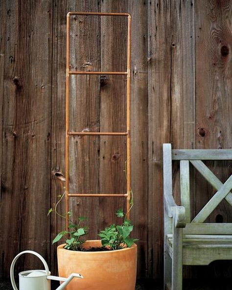 Copper plumbing doesn't have to be hidden in walls. In the garden, the tubing makes a handsome trellis that develops a natural patina with age. Arrange precut tubing from the hardware store into a ladder shape or other design, and use elbow and T pieces to connect the sections. Secure the joints with a heavy-duty adhesive. To trim lengths of tubing, use a pipe cutter, then a wire brush or metal file to sand off any burrs or sharp edges. Copper Trellis, Potted Garden, Gardening Indoors, Diy Gem, Diy Garden Trellis, Container Planting, Plant Containers, Diy Trellis, Budget Decor