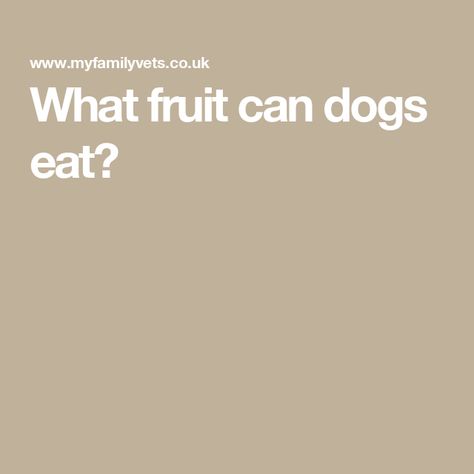 What fruit can dogs eat? Safe Fruits For Dogs, Fruit Dogs Can Eat, Fruits For Dogs, Canned Pears, Urinary Health, Types Of Fruit, Pet Advice, Dog Diet, Canned Peaches