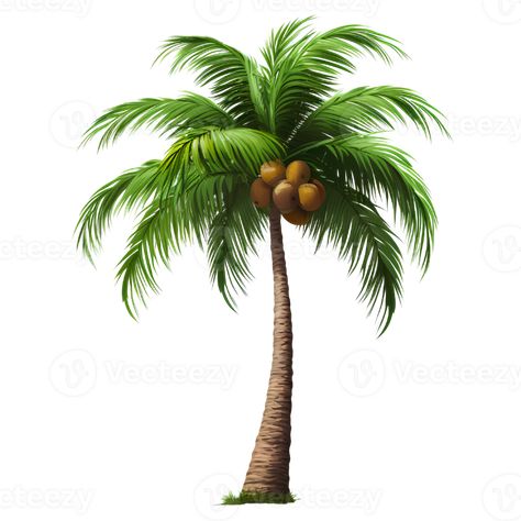 Coconut Tree Drawing, Beach Coconut Tree, Beach Coconut, Graphic Design Assets, Logo Design Typography, Couples Poses, Tree Drawing, Coconut Tree, Couples Poses For Pictures