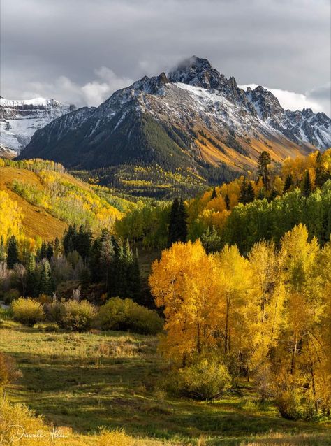 Beautiful Mountains Photography, Fall Mountains, Foto Top, Scenic Pictures, Aspen Trees, Autumn Scenery, Fall Pictures, Landscape Pictures, Autumn Landscape