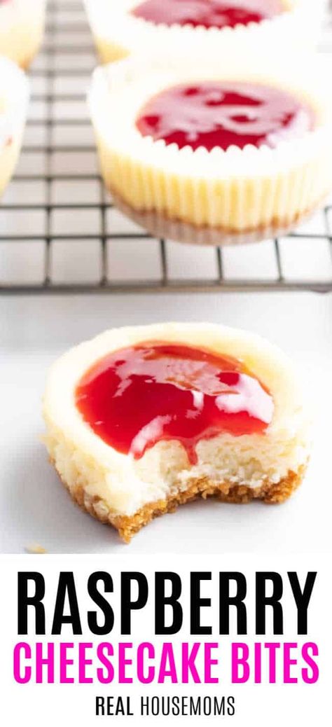 Party Cheesecake, Raspberry Bites, Cheesecake Raspberry, Raspberry Cheesecake Bites, Valentines Dessert, Valentines Desserts, Cheesecake Bites Recipe, Easy No Bake Cheesecake, Cheesecake Recipes Classic