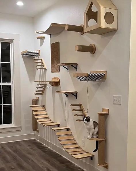 House Ladder, Cat Bridge, Wooden Hammock, Cat Climbing Shelves, Cat Climbing Wall, Wooden Cat Tree, Cat Ladder, Cat Climber, Cat Patio