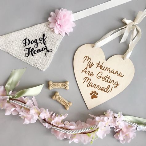 For the four-legged ring bearer get all of the wedding pet accessories for their wedding day look! From a floral wedding dog leash and a "My Humans are Getting Married!" pet sign, these are aww-inducing pet wedding essentials! Wedding Dog Leash, Wedding Day Essentials, Dog Ring Bearer, Ring Bearer Dog, Dog Wedding Attire, Wedding Dog Collar, Dog Ring, Wedding Pets, Dog Wedding