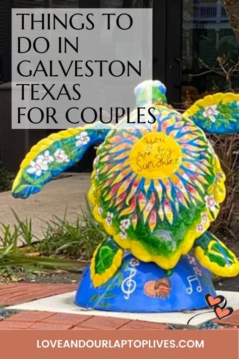 "Galveston has all the makings for a romantic getaway. Why wait? Plan your stay now. You will find numerous fun and romantic things to do in Galveston, Texas". Moody Gardens Galveston, Galveston Texas Vacation, Dutch Lifestyle, Texas Vacation, Moody Gardens, Travel Texas, Southern Travel, Texas Vacations, Romantic Things To Do