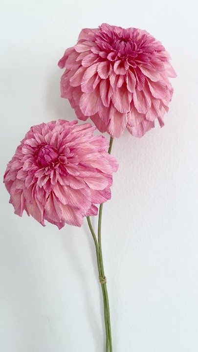 MAKING "POMPOM" DAHLIA with Crepe Paper | Step to Step Tutorial #paperflower #paperdahlia Crepe Paper Dahlia, Crepe Paper Art, Ball Dahlia, Paper Dahlia, Paper Pom Pom, How To Make Crepe, Surprise Ball, Flowers Paper, Handmade Flowers Paper