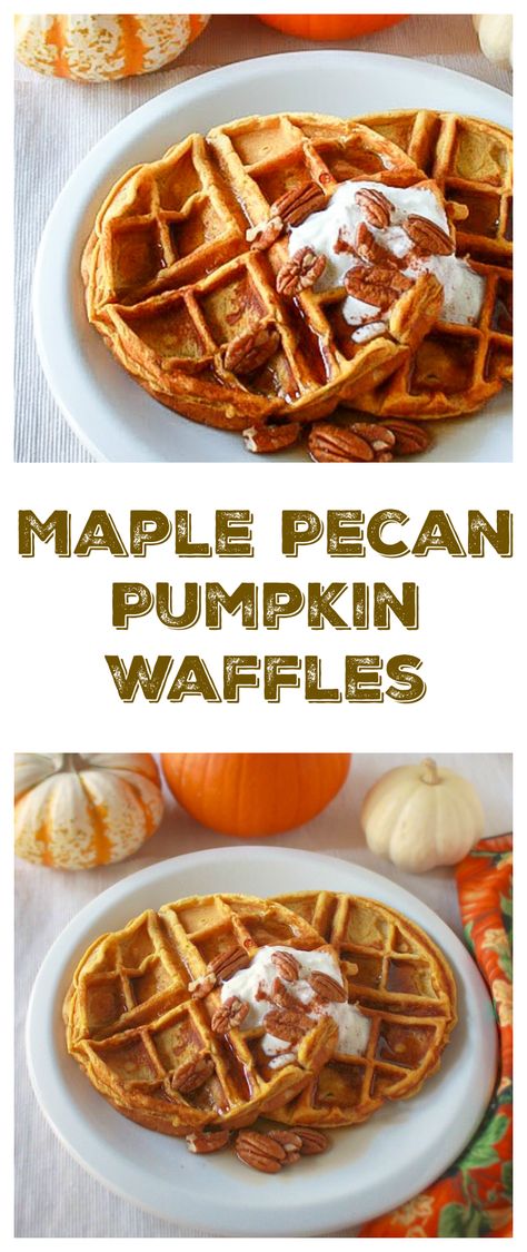 Pecan Waffle Recipe, Healthy Breakfast Ideas Easy, Pumpkin Waffles Recipe, Pumpkin Pecan Waffles, Pecan Pumpkin, Pecan Waffles, Easy Waffle Recipe, Pumpkin Pecan Pie, Maple Pumpkin