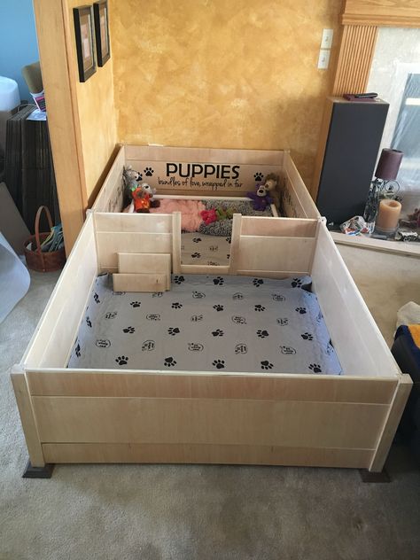 It's official, we are expecting puppies!  So we decided to build our own whelping box and playpen extension! Puppy Box Ideas, Dog Whelping Room Ideas, Whelping Room Ideas, Puppy Whelping Box Ideas, Whelping Box Ideas For Small Dogs, Welping Box Ideas Diy, Whelping Box Ideas, Diy Dog Whelping Pen, Welping Box Ideas Puppies Diy