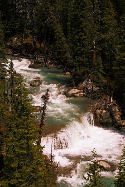 Joni Mitchell Aesthetic, Rivers Aesthetic, Mitchell Aesthetic, Wilderness Aesthetic, Aph Canada, Nature Spa, Canadian Wilderness, Icefields Parkway, Dances With Wolves