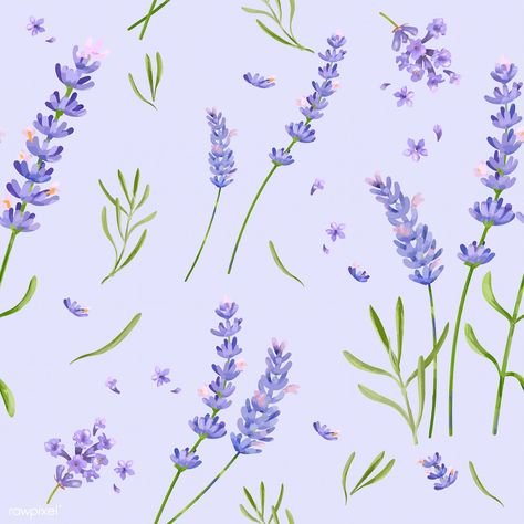 Hand drawn lavender flower pattern | premium image by rawpixel.com Lavender Flower Drawing, Drawn Lavender, Phlox Flowers, Lavender Pattern, Hollyhocks Flowers, Rose Flower Pattern, Rose Gold Texture, Neon Backgrounds, Free Illustration Images