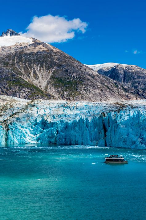 Endicott Arm, Alaska | Embark on an iced-out adventure on a Royal Caribbean cruise to Endicott Arm, Alaska. Sail the long, narrow fjord leading up to Dawes Glacier, an active tidewater glacier towering hundreds of feet high. Alaskan Wildlife, Alaska Cruises, Hubbard Glacier, Cruise To Alaska, Alaska Photos, Tongass National Forest, Royal Caribbean Cruises, Alaska Glaciers, Ketchikan Alaska