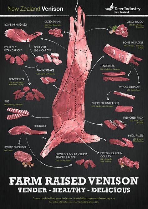 "Deer Industry New Zealand is responsible for promoting and assisting the development of the New Zealand deer industry. Deer Industry New Zealand has a worldwide co-ordination role through research and promotion of quality products derived from deer - esp… Meat Cuts Chart, Deer Butchering, Beef Cuts Chart, Cow Food, Easy Poster, Venison Meat, Meat Butcher, Deer Recipes, Deer Meat Recipes