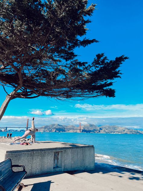 Field Picnic, Picnic Area, San Francisco