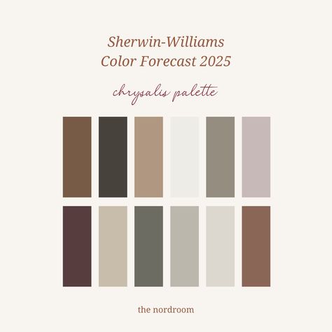 Paint Types For Rooms, Sherwin Williams Romantic Period, Sherwin Williams Settlement Paint, Sw Prairie Grass Paint, Small Cozy Living Room Colors, Thunderous Sherwin Williams Color Palettes, Sherwin Williams Paint Colors For Furniture, Falcon Taupe Sherwin Williams, Large Living Room Paint Colors