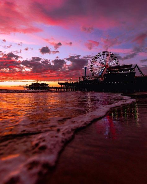 Ferris Wheel Sunset, Flying Lanterns, Santa Monica Sunset, Origami Roses, Flying Lantern, Floral Wallpapers, Summer Wallpapers, Cute Summer Wallpapers, Origami Rose