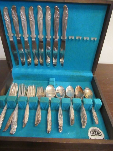 Silver Silverware, Clear Spring, Sugar Spoon, Salad Dessert, Great Wedding Gifts, Vintage Silverware, Vintage Kitchenware, Butter Knife, Oldies But Goodies