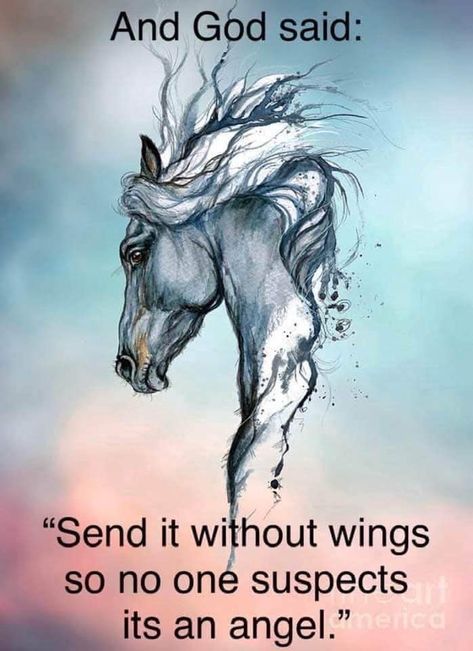 Gifts From God, Horse Quotes Funny, Inspirational Horse Quotes, Horse Riding Quotes, Equestrian Quotes, Riding Quotes, Cute Horse Pictures, Horse Riding Tips, Healing Codes