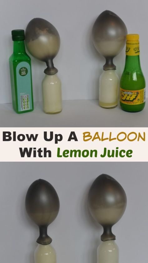 Blow Up a Balloon with Lemon Juice – Science Experiments for Kids Fun Chemistry Experiments, Scientist Experiments, Physics For Kids, Baking Soda Experiments, Chemistry Experiments For Kids, Fun Chemistry, Biology For Kids, Science Experiments Kids Preschool, Balloon Experiment