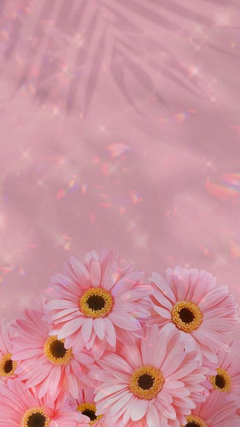 Pink Daisy Wallpaper Aesthetic, Pink Daisies Wallpaper, Pink Daisy Aesthetic, Iphone Wallpaper Pink Heart, Tract Design, Pink Daisy Wallpaper, Daisy Aesthetic, Iphone Wallpaper Pink, Pink Daisy Flower