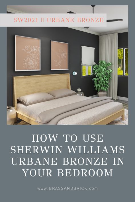 Urban Bronze Sherwin Williams Master Bedrooms, Urbane Bronze Color Palette Bedroom, Urban Bronze Sherwin Williams Bedroom, Sherwin Williams Urbane Bronze Bedroom, She Twin Williams Urban Bronze, Urban Bronze Bedroom Accent Wall, Urbane Bronze Bedroom Accent Wall, Sw Urban Bronze, Urban Bronze Bedroom