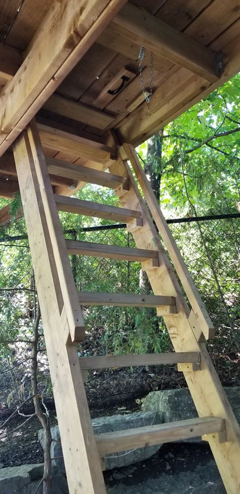 Tree House Ladder Ideas, Treehouse Stairs Ideas, Tree House Stairs Ideas, Treehouse Ladder Ideas, Tree House Ladder, Tree House Bridge, Tree House Stairs, Playhouse Ladder, Treehouse Ladder