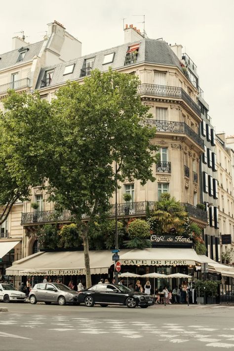 Best Coffee In Paris, Coffee In Paris, Parisian Bistro, Luxembourg Gardens, Parisian Cafe, Good Coffee, Paris Aesthetic, Paris Restaurants, Old Church