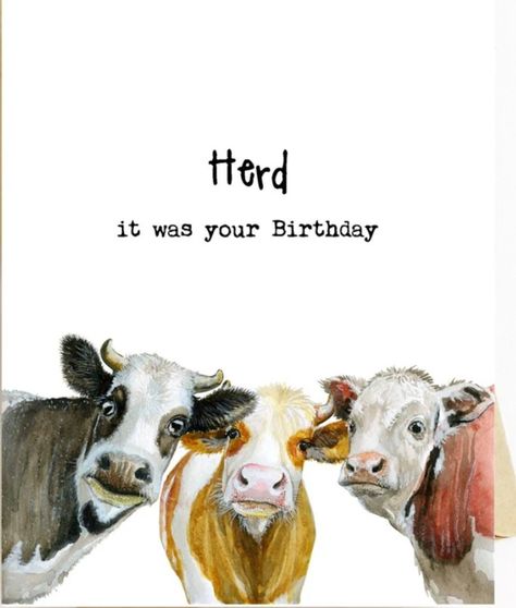 Happy Birthday Cow, Happy Birthday Animals, Happy Birthday Illustration, Happy Birthday Man, Funny Happy Birthday Wishes, Birthday Greetings Funny, Country Birthday, Birthday Wishes Greetings, Birthday Greetings Friend