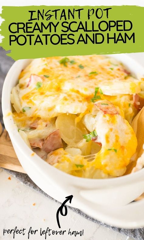 Instant Pot Scalloped Potatoes, Pressure Cooker Ham, Scalloped Potato Casserole, Easy Scalloped Potatoes Recipe, Potatoes And Ham, Ham And Potato Casserole, Creamy Scalloped Potatoes, Cooking With Karli, Scalloped Potatoes And Ham