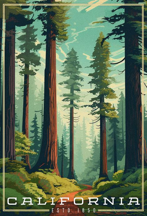 Giant redwood trees with a small trail going through them. Blue skies with just a few thin clouds. The word California is the title located in the bottom of the image Nature Poster Design Illustration, California Vintage Poster, Redwood Forest Illustration, National Parks Prints, Vintage Landscape Illustration, National Parks Vintage, California Poster Aesthetic, Redwood Forest Art, Vintage National Parks Posters