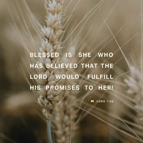 Luke 1:45 Blessed is she who has believed that the Lord would fulfill his promises to her!” | New International Version (NIV) | Download The Bible App Now Luke 1 45, Christmas Thoughts, Blessed Is She, Bible Challenge, Amplified Bible, Luke 1, Prayer For Today, Free Bible, You Are Blessed