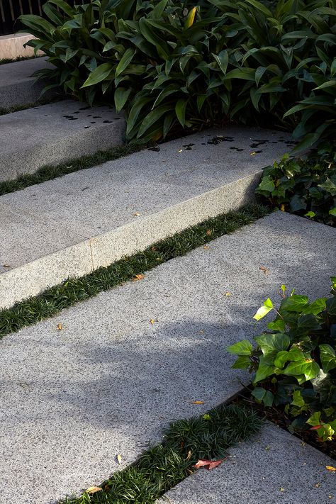 Toorak Residence, Garden Stairs, Garden Paving, Outdoor Stairs, Concrete Steps, Landscape And Urbanism, The Local Project, Contemporary Garden, House Landscape