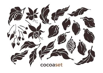 Premium Vector | Set of cocoa leaf bean flower chocolate hand draw vintage group organic silhouette Cocoa Flower, Botanical Art Drawing, Cocoa Plant, Cocoa Fruit, Flower Chocolate, Branch Art, Plant Background, Chocolate Flowers, Leaf Drawing