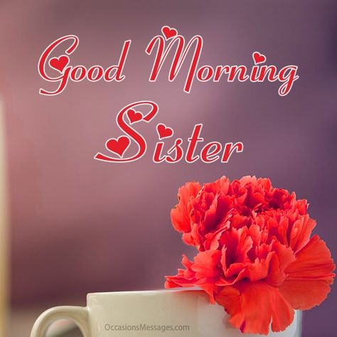 40+ Good Morning Messages for Sister - Occasions Messages Good Morning To My Sister, Good Morning Sister Love You, Good Morning My Sister, Good Morning Sistas, Good Morning Sis, Messages For Sister, Good Morning Sister Images, Sister Images, Cute Good Morning Gif