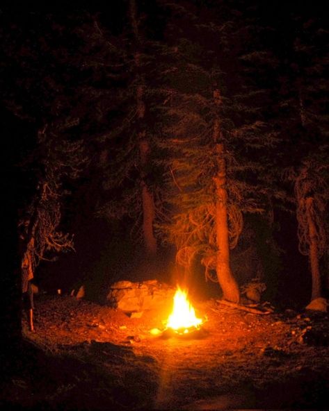 Tent In The Woods, In The Woods At Night, Fantasy Cabin, The Woods At Night, Woods At Night, Maine Hiking, Camping In The Woods, Forest Camp, Cabin Aesthetic