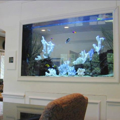 I want a fish tank in the wall of the kitchen and living room Large Fish Tank Ideas, Fish Tank Wall, Wall Aquarium, Amazing Aquariums, Cool Fish Tanks, Diy Fish Tank, Fish Tank Design, Diy Aquarium, Salt Water Fish