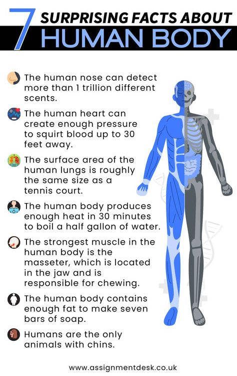 10 incredible human body facts
100 weird facts about the human body
1,000 amazing facts about human body
strange but true facts about humans
50 amazing facts about human body
500 facts about the human body
mind-blowing facts about human body
disturbing facts about the human body Human Body Anatomy Medical Facts, Anatomy Fun Facts, Physiology Facts, Human Lungs, Facts About Humans, Human Body Facts, Physiological Facts, Biology Facts, Nursing Study Guide