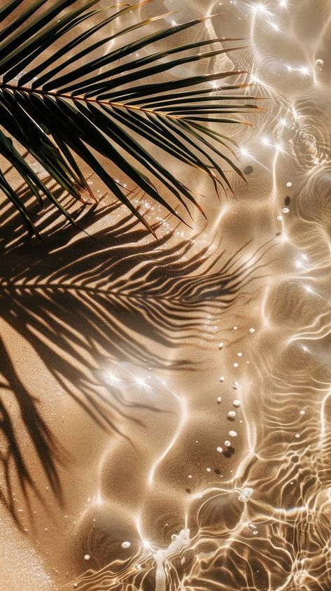 Tropical beach sunlight reflections | free image by rawpixel.com / Nunny Tropical Night Aesthetic, Luxury Beach Aesthetic, Tropical Aesthetic Background, Wellness Wallpaper, Gold Moodboard, Photography Texture, Beach Mood, Tropical Luxury, Tropical Boho