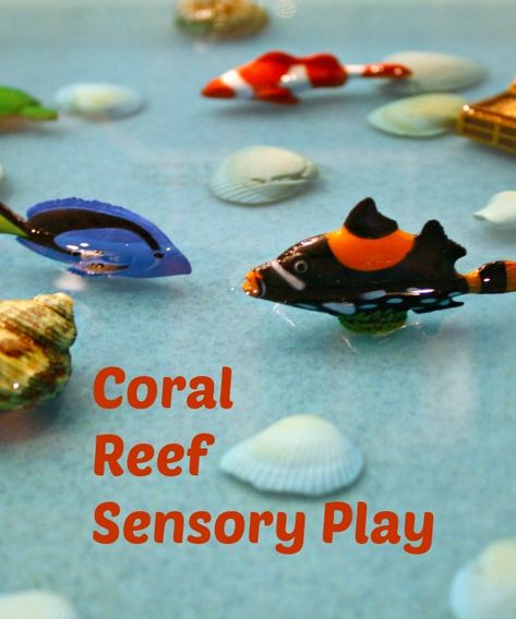 Australia Day Activities, Kindergarten Sensory, Ocean Theme Preschool, Sensory Tubs, Sensory Tub, Sensory Boxes, Things To Do With Kids, Sensory Table, Ocean Crafts