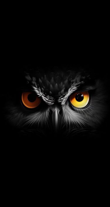 Tattoo Tv Shows, Animal Tattoo Ideas, Animal Eyes, Shiva Tattoo, Owl Photos, Cute Backgrounds For Phones, Owl Pictures, Blessed Mother Mary, Wallpaper Animes