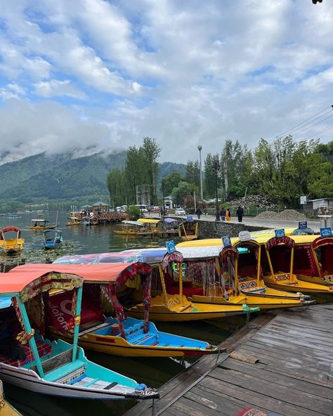 Dal Lake, Srinagar Kashmir Dal Lake Kashmir Photography, Kashmir Photography, Dal Lake Kashmir, Srinagar Kashmir, Dal Lake, Aesthetic Places, Views Video, Insta Profile, Adventure Travel Explore