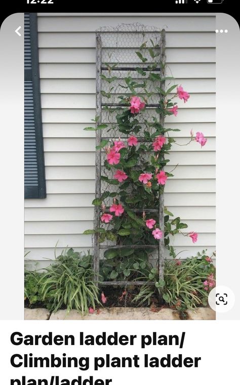 Ladder Garden, Garden Ladder, Flower Trellis, Old Ladder, Garden Wallpaper, Garden Yard Ideas, Kew Gardens, Chicken Wire, Perfect Garden