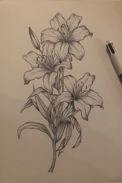 #BEAUTY, #RELATIONSHIPS #Fashion #Animals #Outfits #Winter Outfits #Animals Pencil Art Drawings Creative, Mum Of Two, Easy Graffiti Drawings, Pencil Drawings Of Flowers, Rennaissance Art, Coral Sea, Meaningful Drawings, Drawing Flowers, Graffiti Drawing