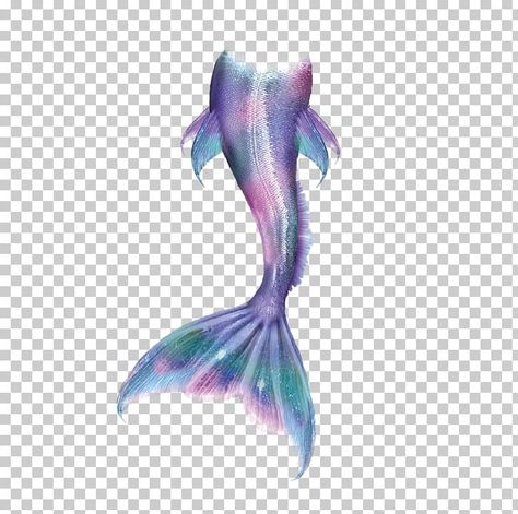 Mermaid Tail Art, Beautiful Mermaid Tail, Mermaid Jewellery, Salon Blue, Blue Mermaid Tail, Mermaid Png, Dslr Background, Mermaid Tale, Fantasy Props