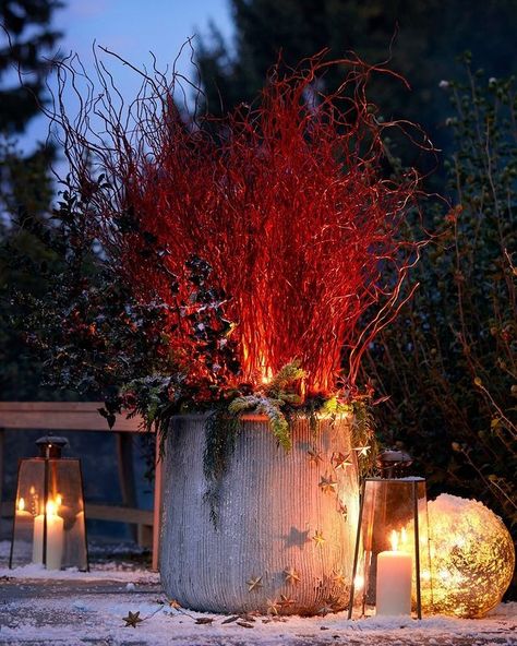 Christmas Outdoor Pots Planters, Plant Troughs, Front Porch Planters, Holiday Planter, Winter Planter, Porch Planters, Christmas Planters, Holiday Arrangement, Urn Planters