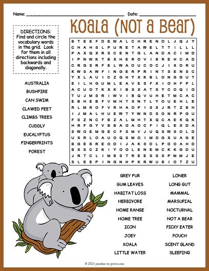 Koala Activities, Australia Day Craft Preschool, Animal Word Search, Koala Party, Koala Birthday, Word Search Puzzles Printables, Free Printable Word Searches, Craft Preschool, Word Search Printables