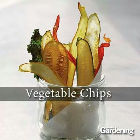 . Vegetable Chips Recipe, Dehydration Recipes, Chips Recipes, Vegetable Chips, Veggie Chips, Dehydrated Fruit, Dried Vegetables, Eggplant Parmesan, Dehydrated Food