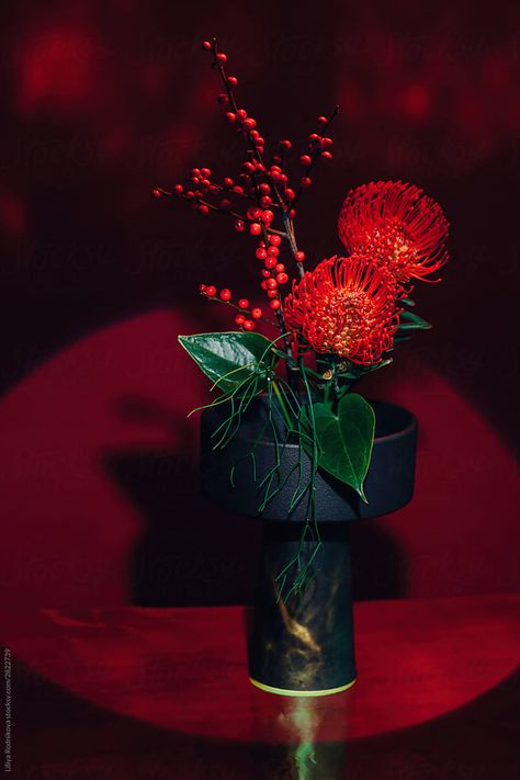 Bouquet of fresh red protea flowers among green leaves in composition with red small winter berries of holly on brown leafless branches in black round vase on red table against red wall Red Ikebana, Halloween Environment, Black Centerpieces, Protea Flowers, Protea Bouquet, Word Decor, Flower Words, Winter Berries, Funny Phone